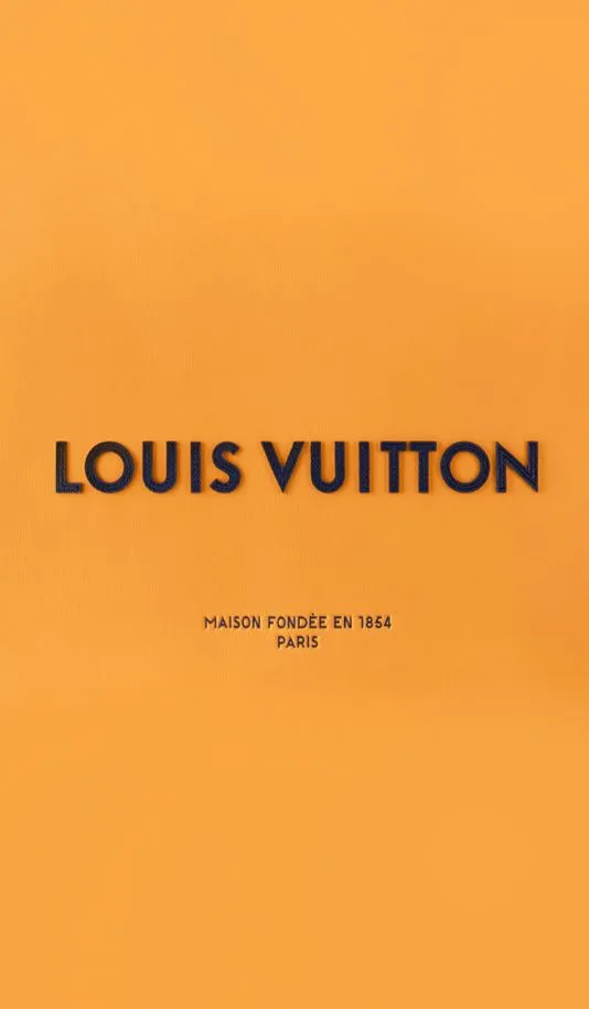 Bannière Louis Vuitton Nokoo Shop